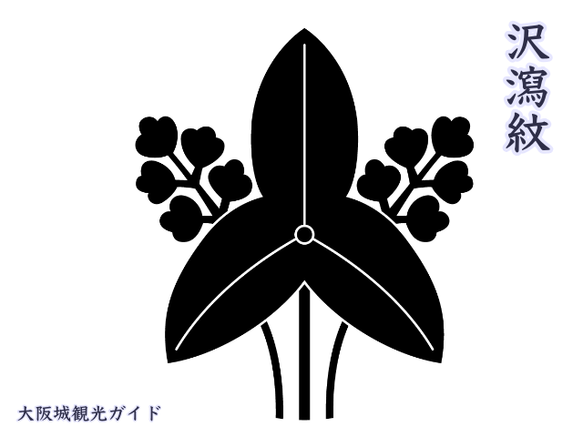 豊臣秀吉の家紋「沢瀉紋（おもだかもん）」：木下藤吉郎時代